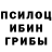 Галлюциногенные грибы Cubensis Yar Zzz