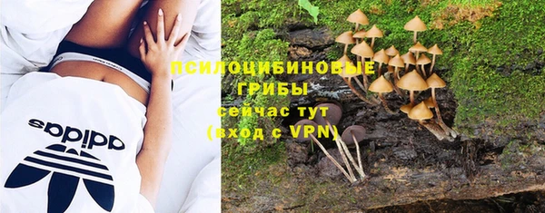 PSILOCYBIN Арсеньев