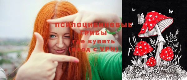 PSILOCYBIN Арсеньев