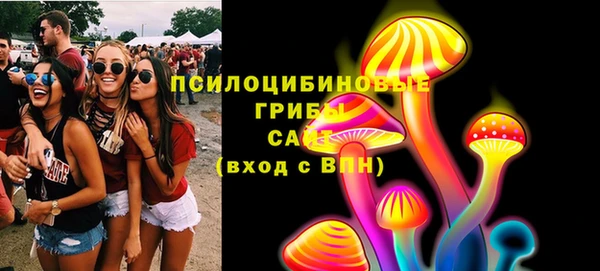 гашик Армянск
