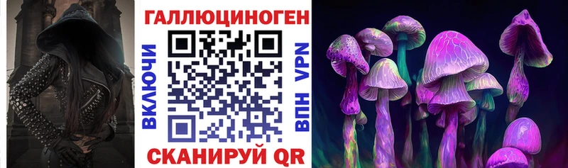где продают наркотики  Суоярви  Псилоцибиновые грибы ЛСД 
